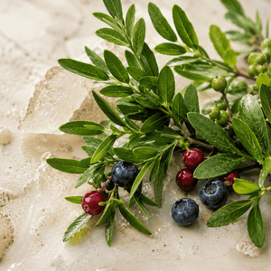 Extracte antioxidante